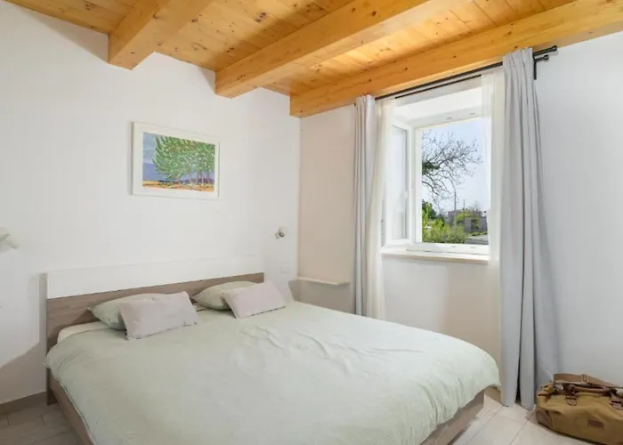 Holiday home Prestige Azinetti With Pool *